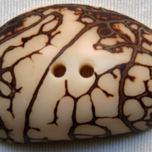 Bouton corozo. Cabochon zébré. Ivoire végétal