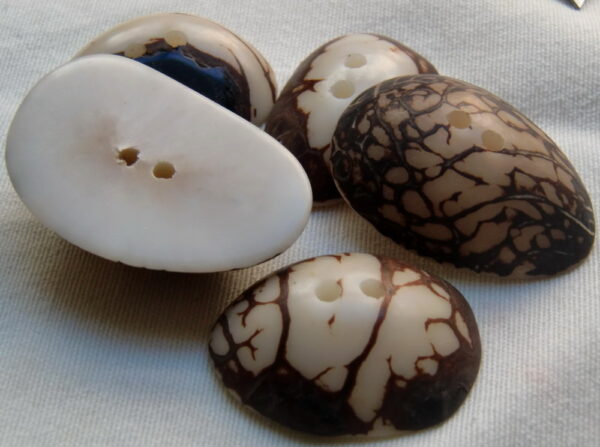 Bouton corozo. Cabochon zébré. Ivoire végétal. Modèle exclusif – Image 2