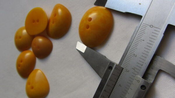 Bouton corozo. Cabochon lisse. Ivoire végétal – Image 4