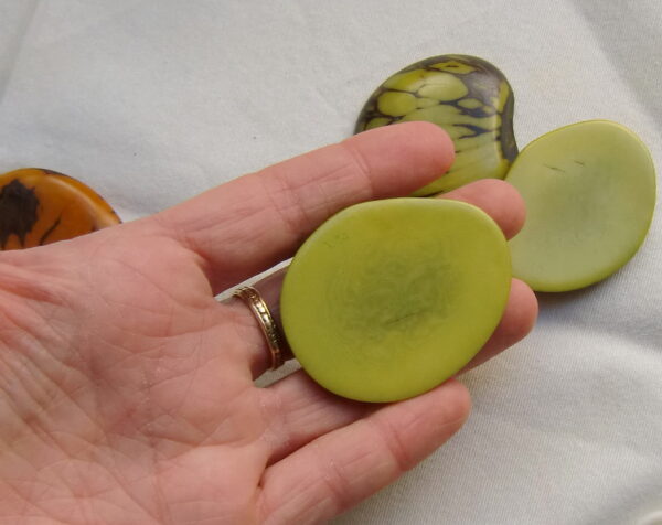 Tranche de Tagua. "Slice zébrée". Ivoire végétal – Image 3