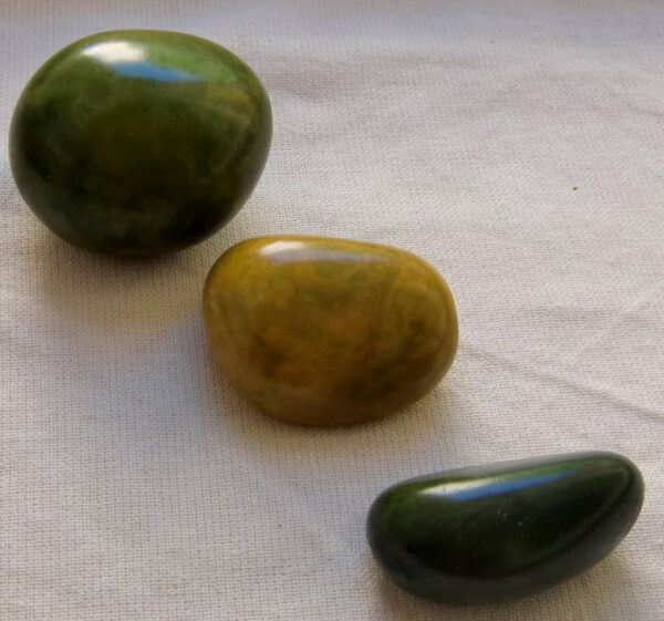 Graines de Tagua. Ivoire végétal – Image 4