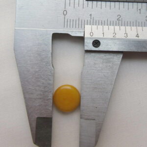 Ivoire végétal. Pastille de Tagua de 9 millimètres.