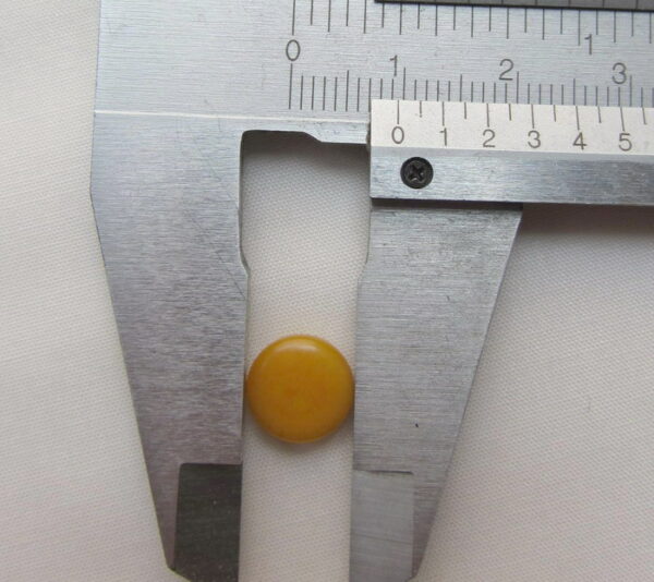 Ivoire végétal. Pastille de Tagua de 9 millimètres.