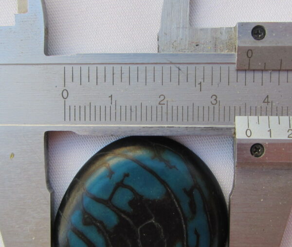 Tranche de Tagua. "Slice zébrée". Ivoire végétal – Image 4