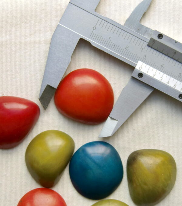 Cabochon en Tagua. Ivoire végétal – Image 2