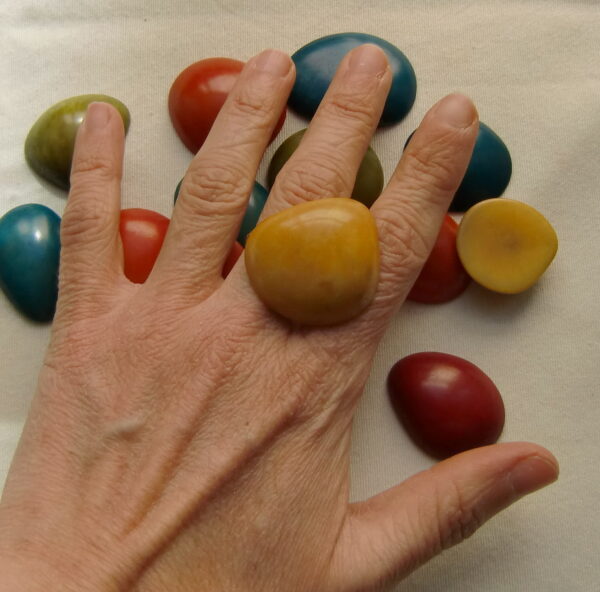 Cabochon en Tagua. Ivoire végétal
