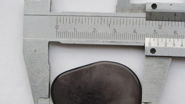 Chips de Tagua. Ivoire végétal – Image 4