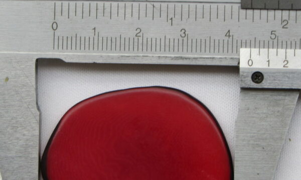 Chips de Tagua. Ivoire végétal – Image 5