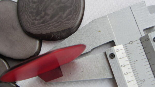 Chips de Tagua. Ivoire végétal – Image 6