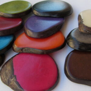 Tranche de Tagua. Slice lisse. Ivoire végétal