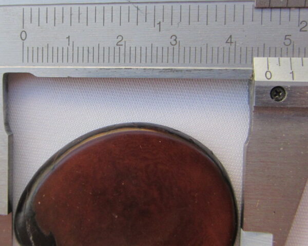 Tranche de Tagua. "Slice lisse". Ivoire végétal – Image 3