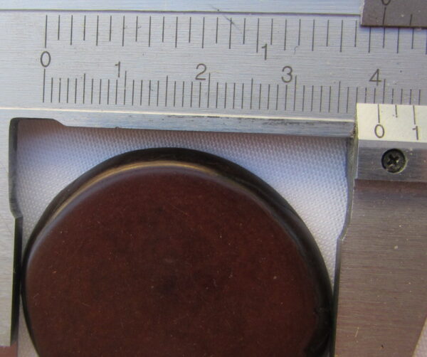 Tranche de Tagua. "Slice lisse". Ivoire végétal – Image 4