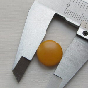 Ivoire végétal.Pastille de Tagua de 13 millimètres.