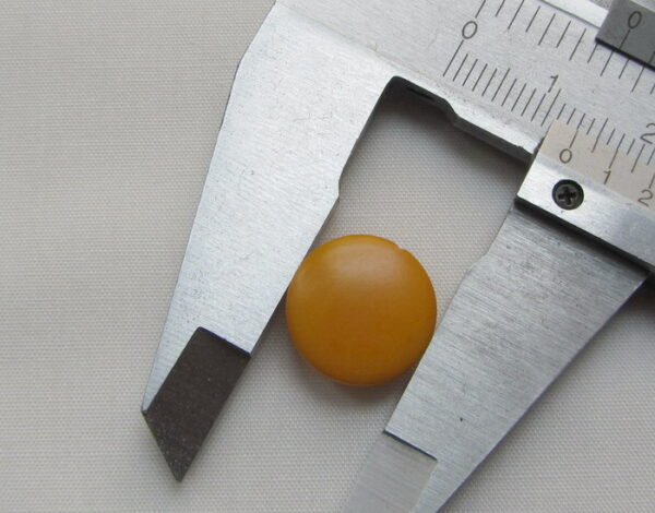 Ivoire végétal.Pastille de Tagua de 13 millimètres.