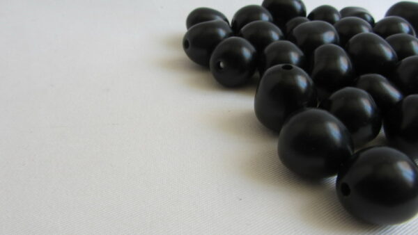 Graines de Chicon noir