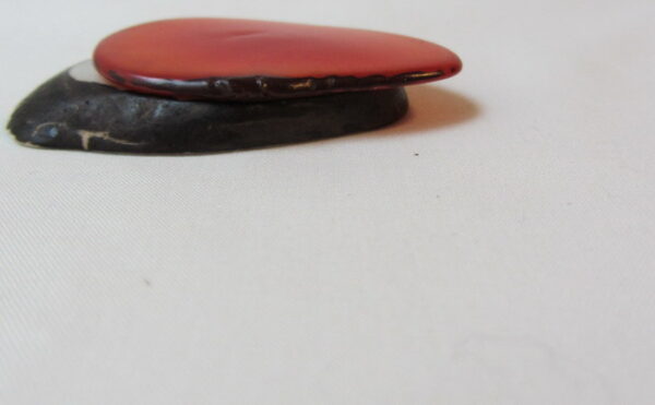 Tranche de Tagua. "Slice lisse". Ivoire végétal – Image 8
