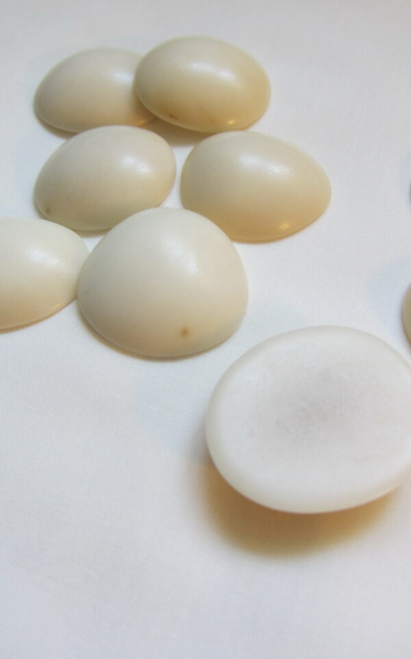 Cabochon en Tagua. Ivoire végétal – Image 7
