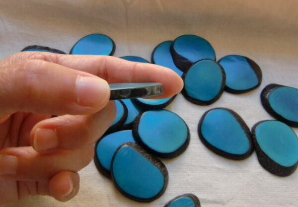 Tranche de Tagua. "Slice lisse". Ivoire végétal – Image 10