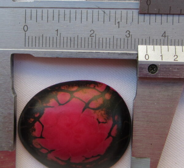 Cabochon zébré en Tagua. Ivoire végétal – Image 5