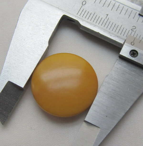 Ivoire végétal. Pastille de Tagua de 20 millimètres.
