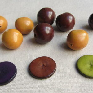 Pastilles de Chicon