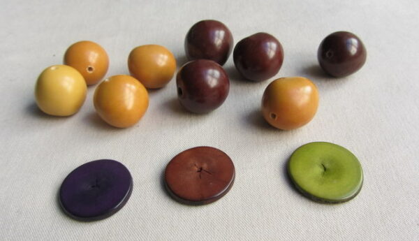 Pastilles de Chicon