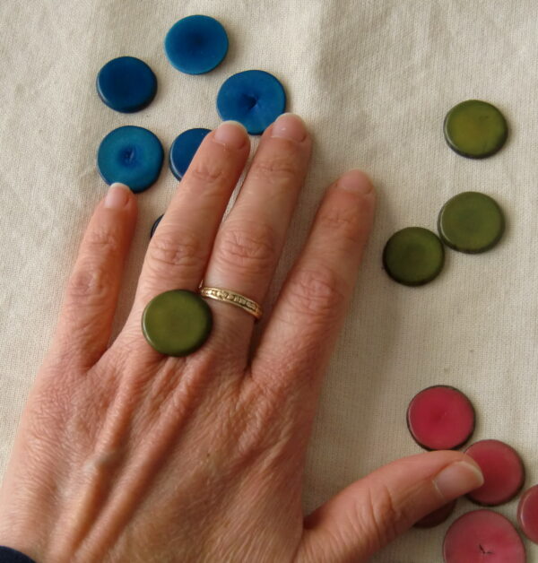 Pastilles de Chicon – Image 2