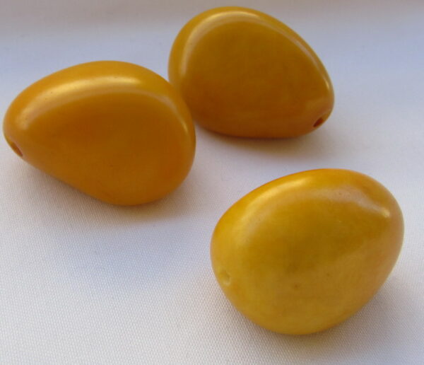 Graines de Tagua. Ivoire végétal – Image 7