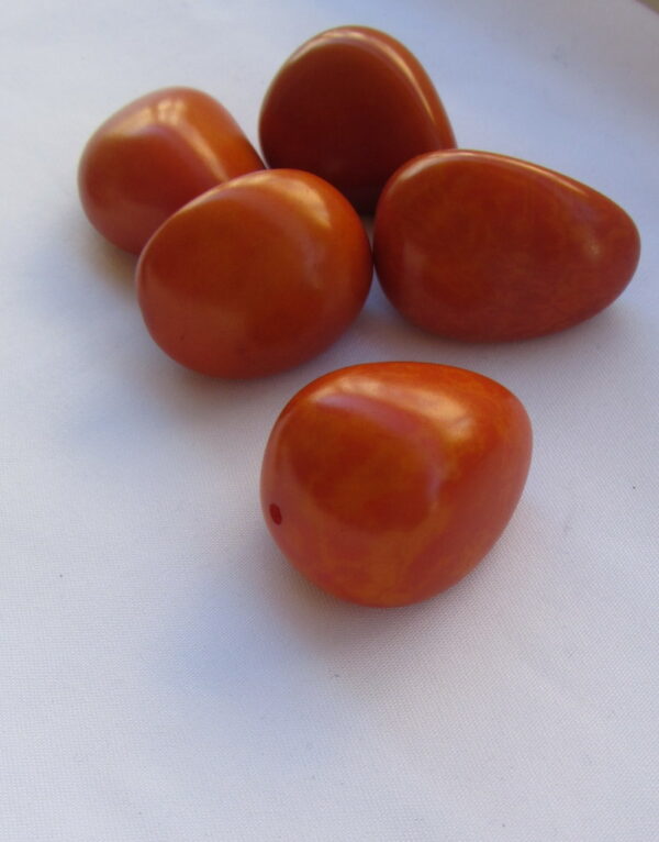 Graines de Tagua. Ivoire végétal – Image 10