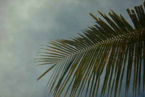 Photo de Maahid Photos sur Unsplash