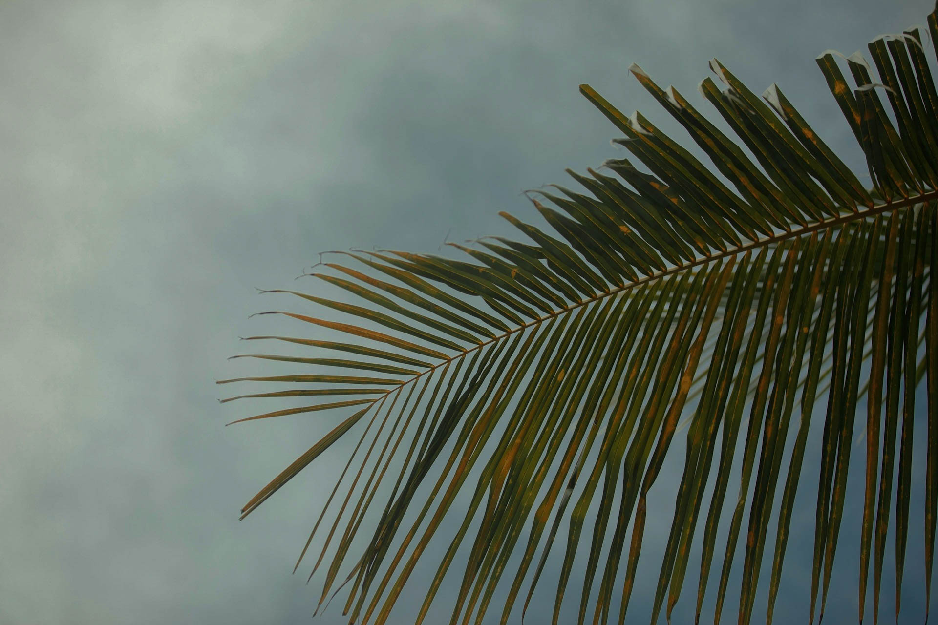 Photos de Maahid Photos sur Unsplash